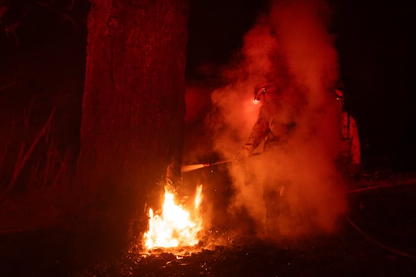 Firefighters put out a fire burning inside a tree after the Eaton Fire burned through the mountains of the Angeles National Forest near Mount Wilson Observatory north of Pasadena, Thursday, Jan. 9, 2025.(AP Photo/Etienne Laurent)