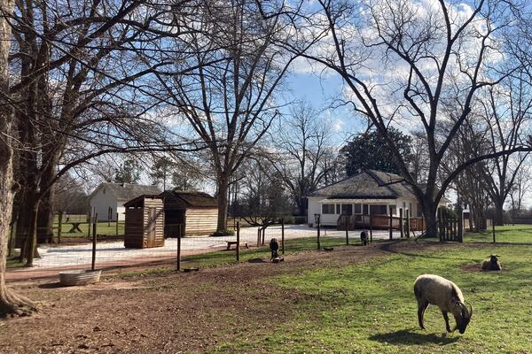 FILE - Animals graze on former President Jimmy Carter's boyhood home and farm, now a National Parks site, outside Plains, Ga., on Feb. 22, 2023. (AP Photo/Bill Barrow, File)