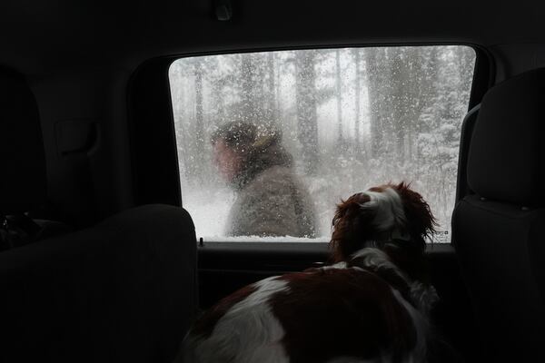 Tom Doolittle, a falconer and retired biologist, steps out of his truck as his dog, Maeve, watches from the inside Saturday, Feb. 15, 2025, in Mason, Wis. (AP Photo/Joshua A. Bickel)