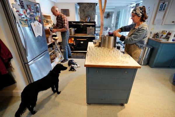 Organic wild blueberry farmers Hugh and Jenny Lassen can jars of blueberry spread at their home, Monday, Feb. 10, 2025, in Cherryfield, Maine. (AP Photo/Robert F. Bukaty)