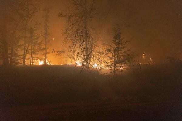 A wildfire spreads through trees Friday, March 14, 2025, south of Langston, Okla. (AP Photo/Alonzo Adams)