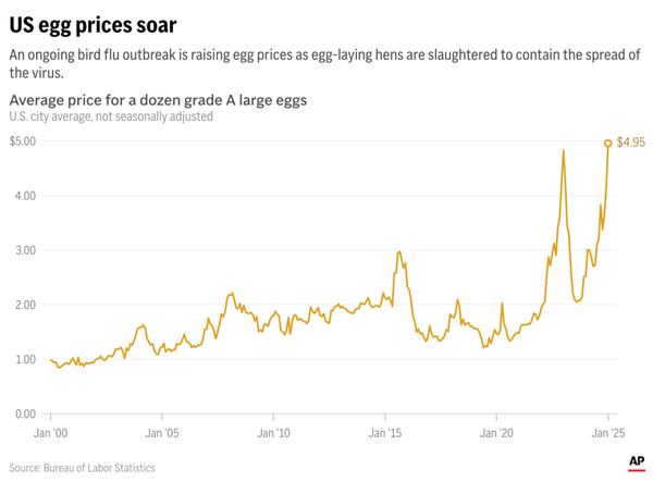 Egg prices are continuing to rise in the U.S. amid a bird flu outbreak. (AP Digital Embed)