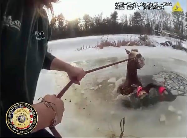 This image from body cam video, provided by Saratoga Springs Police, shows the rescue of Sly, a 1,300-pound horse that fell through ice of a pond in Saratoga Springs, N.Y., Monday, Feb. 24, 2025. (Saratoga Springs Police via AP)