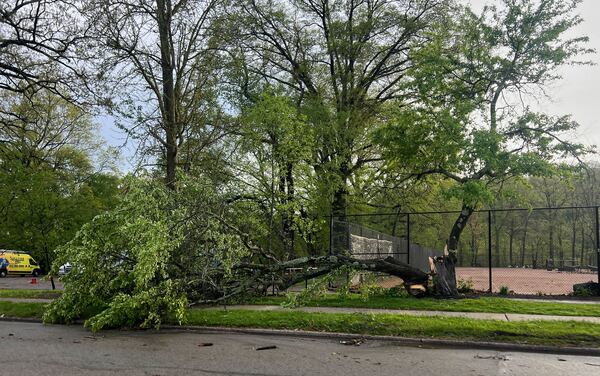 Fallen trees from the stormy weather in Regent Square in Pittsburgh, Tuesday, April 29, 2025. (Samara McCallum/Pittsburgh Post-Gazette via AP)