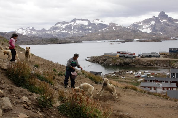 FILE - Gert Ignatiussen, winner of Greenland's annual amateur mineral hunt, throws a chunk of seal meat to one of his sled dogs in Tasiilaq, an Inuit town on the southeast coast of Greenland, in this photograph taken on Aug. 25, 2009. (AP Photo/Karl Ritter, file)