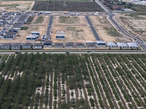 New homes are under construction in former citrus groves, Tuesday, Feb. 18, 2025, in Lake Wales, Fla. Many growers are selling their citrus groves after years of hurricanes, freezes and the devastating effects of citrus greening. (AP Photo/Daniel Kozin)