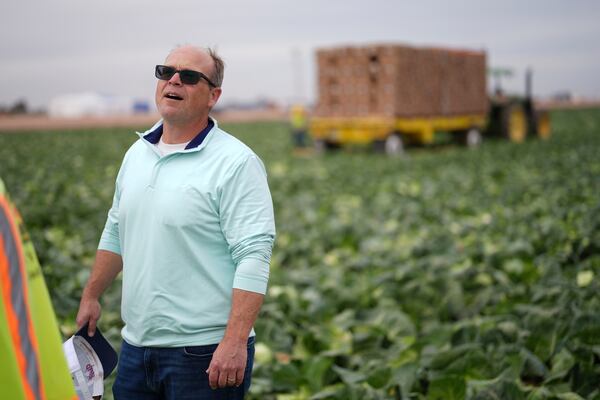 Farmer Jack Vassey talks with workers during the harvest of cabbage Wednesday, March 5, 2025, on a field less than ten miles from the border with Mexico, in Holtville, Calif. (AP Photo/Gregory Bull)