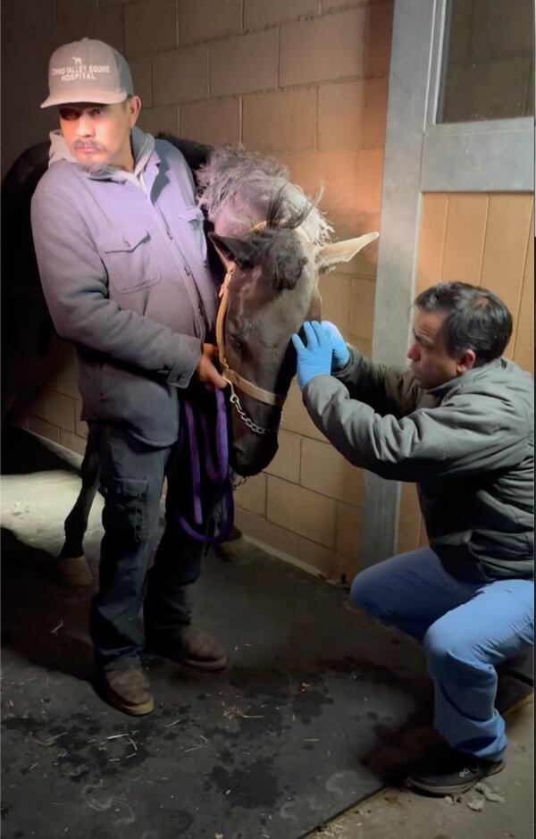 In this image taken from video provided by Julia Bagan, a veterinarian cleans the eyes of a horse named Flicka and checks for damage at the Chino Valley Equine Hospital after she was rescued from the Eaton Fire, in Chino Hills, Calif., Wednesday, Jan. 8, 2025. (Julia Bagan via AP)