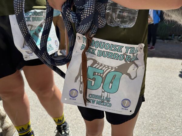 People look on as Pack burros and their human companions race through the streets of a former mining town and across backcountry desert trails in Cerrillos, N.M., on Saturday, May 3, 2025. (AP Photo/Morgan Lee)