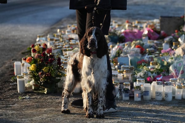 A person with a dog stays next to a makeshift memorial near the scene of a shooting at an adult education center on the outskirts of Orebro, Sweden, Thursday, Feb. 6, 2025. (AP Photo/Sergei Grits)