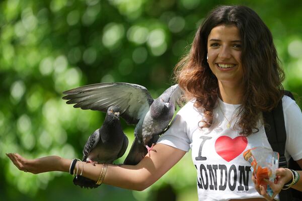 A woman feeds a pigeon on a sunny day at a park in London, Wednesday, April 30, 2025. (AP Photo/Kin Cheung)