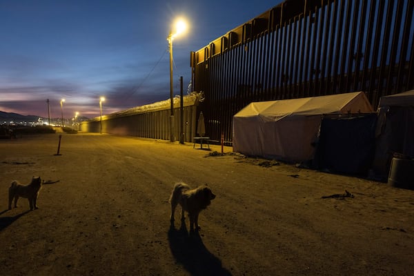 Dogs are near a border wall separating Mexico from the United States Wednesday, Jan. 22, 2025, in San Diego. (AP Photo/Gregory Bull)