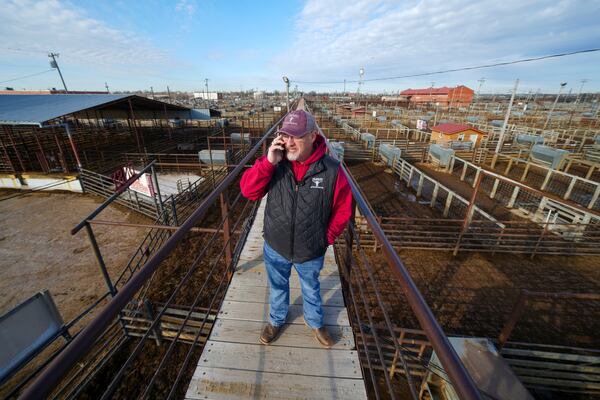 Jerry Reynolds, president of the Oklahoma National Stockyards, takes a phone call while standing on the catwalk overlooking the stockyards Tuesday, Jan. 14, 2025, in Oklahoma City. (AP Photo/Julio Cortez)