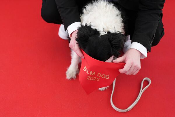 Perle receives the Palm Dog award on behalf of Panda, who could not attend, during the Palm Dog award ceremony at the 78th international film festival in Cannes, southern France, Friday, May 23, 2025. (AP Photo/Natacha Pisarenko)