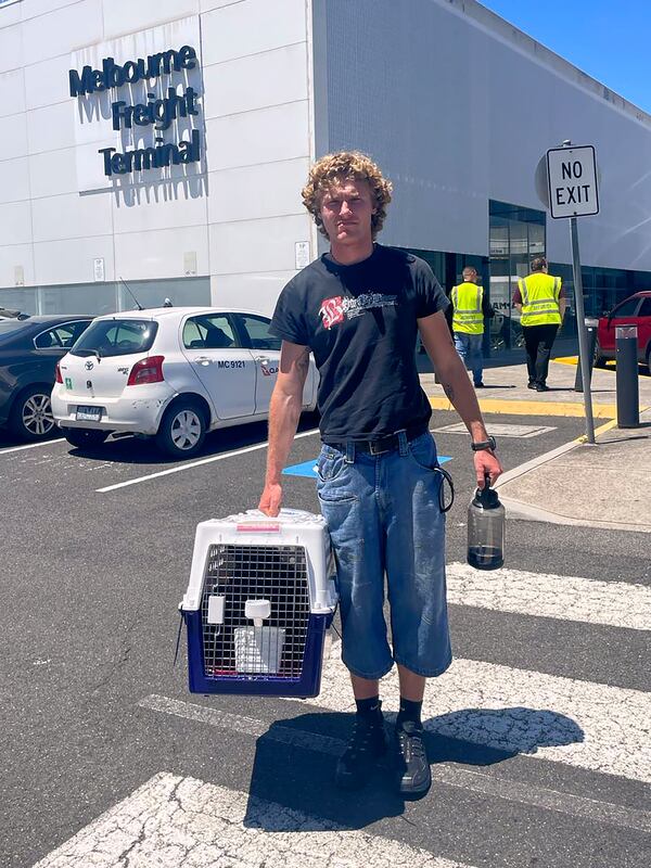 In this photo provided by Margo Neas, her son Jackson Brow holds their cat, Mittens, in a cat carrier at Melbourne Airport on Jan. 14, 2025. (Margo Neas via AP)