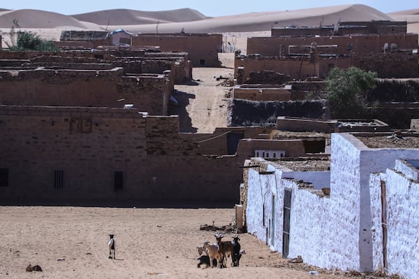 Animals roam near homes surrounded by sand in Chinguetti, Mauritania on Jan. 13, 2025. (AP Photo/Khaled Moulay)