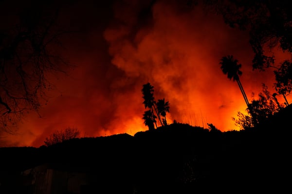 The Palisades Fire burns in Mandeville Canyon on Friday, Jan. 10, 2025, in Los Angeles. (AP Photo/Eric Thayer)