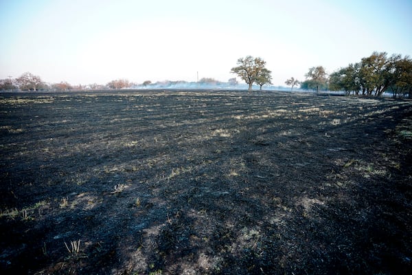 Gillespie County fields are charred following the Crabapple Wildfire over the weekend in Fredericksburg, Texas, Sunday, March 16, 2025. (Robin Jerstad/The San Antonio Express-News via AP)