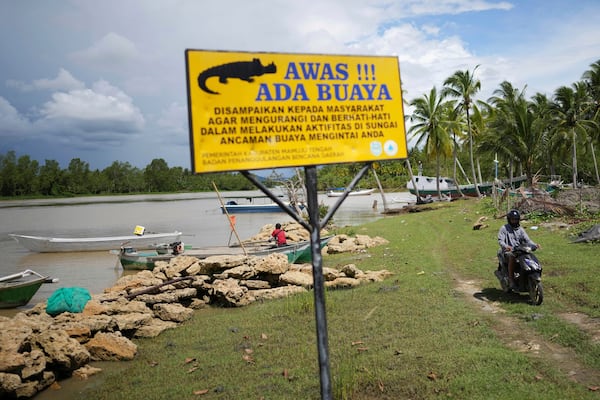 A crocodile warning sign is displayed by the river in Budong-Budong, West Sulawesi Island, Indonesia, Monday, Feb. 24, 2025. The sign reads "Beware of crocodile! Please be on alert while doing activities in the river. Crocodile might be stalking". (AP Photo/Dita Alangkara)