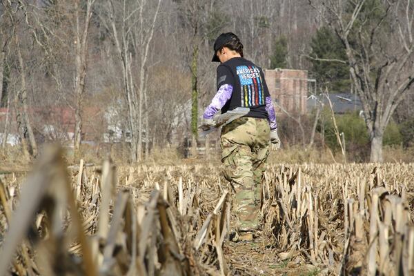 Jill Holtz thoroughly scans the ground in front of her for lost items tangled in the dead cornstalks in Swannanoa, N.C., on Thursday, Feb. 6, 2025. (AP Photo/Makiya Seminera)