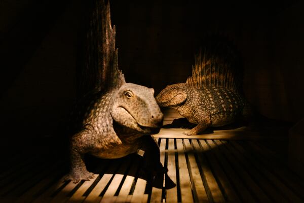"The Sphenacodontid Kind," Dimetrodon, is displayed at the Ark Encounter in Williamstown, Ky., Friday, March 21, 2025. (AP Photo/Madeleine Hordinski)
