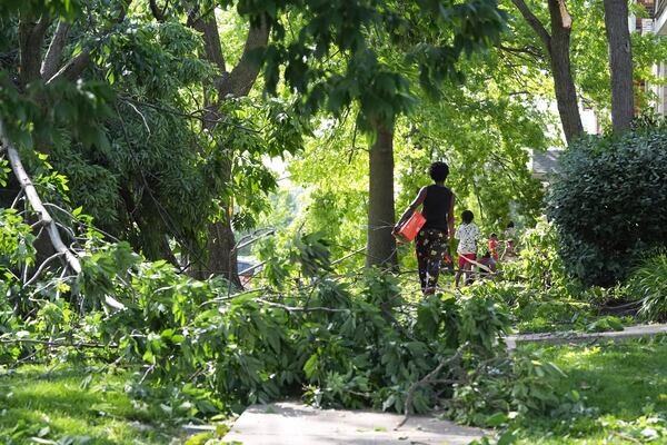 People navigate downed trees left in the wake of a severe storm moved through Friday, May 16, 2025, in St. Louis. (AP Photo/Jeff Roberson)