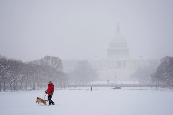 A person walks his dog in view of the Capitol during a winter snow storm in Washington, Monday, Jan. 6, 2025. (AP Photo/Matt Rourke)