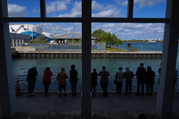 Visitors watch manatees swim at Manatee Lagoon, a free attraction operated by Florida Power & Light Company that lets the public view and learn about the sea cows who gather in winter in the warm-water outflows of the company's power plant, in Riviera Beach, Fla., Friday, Jan. 10, 2025. (AP Photo/Rebecca Blackwell)