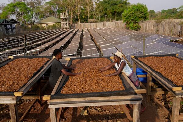 Workers turn excelsa coffee beans to dry near Nzara, South Sudan on Saturday, Feb. 15, 2025. (AP Photo/Brian Inganga)