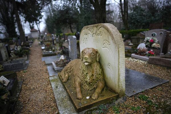 A sculpture of a dog is seen at the dog cemetery in Asnières-sur-Seine, outside Paris, Tuesday, Feb. 25, 2025. (AP Photo/Christophe Ena)