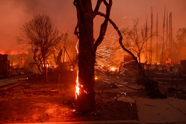 Embers are blown off a burning tree as the Eaton Fire burns in Altadena, Calif., Wednesday, Jan. 8, 2025. (AP Photo/Nic Coury)