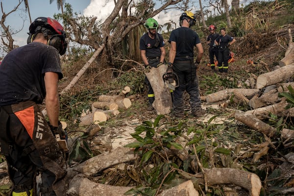 French civil security officers cut trees to open a road for heavy vehicles from Mayotte water authorities to repair water pipes in Mirereni, Mayotte, Friday, Dec. 20, 2024. (AP Photo/Adrienne Surprenant)