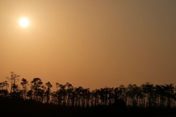 The sun sets over cypress trees in Everglades National Park, Fla., Saturday, May 18, 2024. (AP Photo/Rebecca Blackwell)