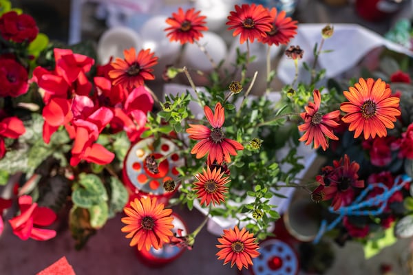 Flowers left for Pope Francis at the Agostino Gemelli Polyclinic, in Rome, Monday, March 3, 2025 where he is hospitalized since Friday, Feb. 14. (AP Photo/Mosa'ab Elshamy)