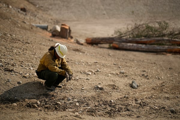 Deago Yanez rests while cutting up trees in the aftermath of the Eaton Fire, Friday, Jan. 17, 2025, in Pasadena, Calif. (AP Photo/John Locher)