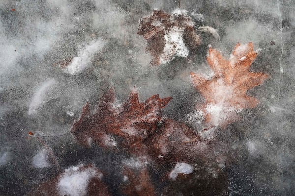 Leaves are frozen in the ice of the Arrington Lagoon Fountain during cold weather in Evanston, Ill., Wednesday, Jan. 8, 2025. (AP Photo/Nam Y. Huh)