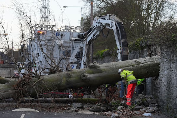 Workers survey a fallen tree in Dublin, Friday Jan. 24, 2025, as the top-level red warning for wind is in place in both Northern Ireland and the Republic of Ireland. (Brian Lawless/PA via AP)