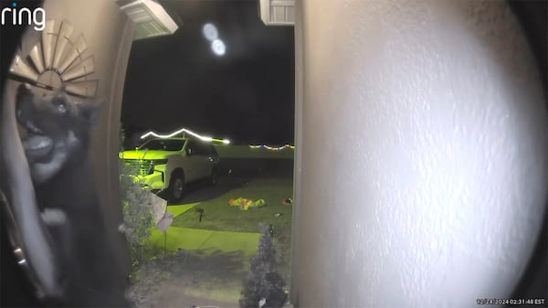 In this image from video provided by Brooke Comer, Athena, a 4-year-old German shepherd and husky mix, approaches the video doorbell of Comer's home in Green Cove Springs, Fla., on Christmas Eve, Tuesday, Dec. 24, 2024. (Brooke Comer via AP)