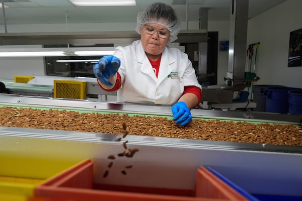 Manuela Plascencia tosses defective almonds while sorting by hand at Stewart and Jasper Orchards, Friday, March 7, 2025, in Newman, Calif. (AP Photo/Godofredo A. Vásquez)