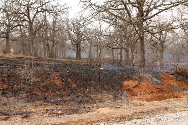 A wildfire spread through the country side SE of Norman, Okla. on Friday, March 14, 2025. (AP Photo/Alonzo Adams)