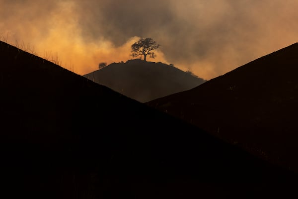 A lone burnt tree remains on a hill after the Kenneth Fire burnt through hills in the West Hills section of Los Angeles, Thursday, Jan. 9, 2025. (AP Photo/Etienne Laurent)