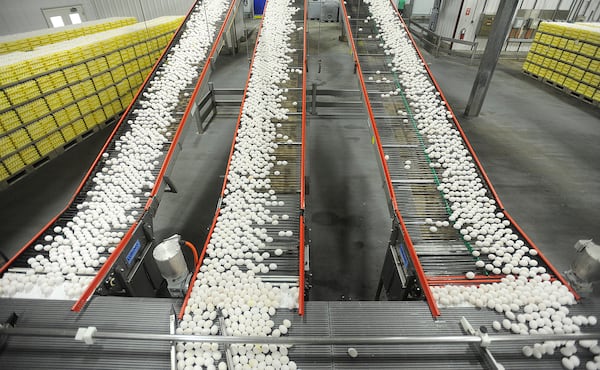 FILE - In this July 28, 2012 file photo, chicken eggs are transported by conveyor belt from the production side to the packaging side at a farm in Cortland, Ind. (Aaron Piper/The Tribune via AP, File)