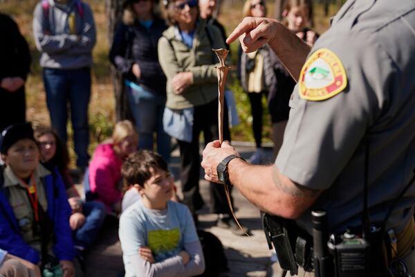 Park ranger Jesse Anderson shows a pitcher plant to visitors during a weekly carnivorous plant hike Saturday, March 22, 2025, in Carolina Beach, N.C. (AP Photo/Erik Verduzco)