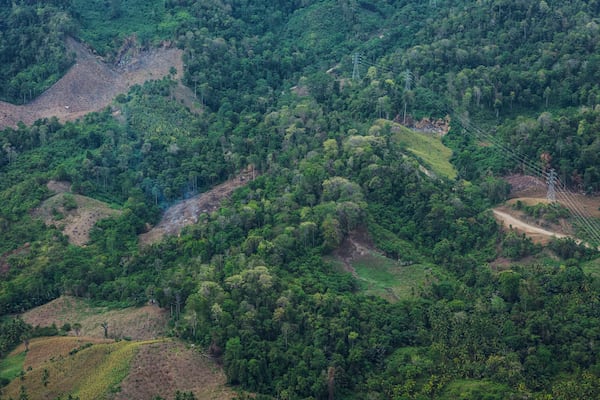 FILE - Deforestation is visible near the areas of several wood pellet production companies in Pohuwato, Gorontalo province, Indonesia, Oct. 22, 2024. (AP Photo/Yegar Sahaduta Mangiri, File)