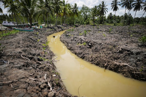 A canal dug for a newly opened palm oil plantation is visible in Budong-Budong, West Sulawesi, Indonesia, Monday, Feb. 24, 2025. (AP Photo/Dita Alangkara)