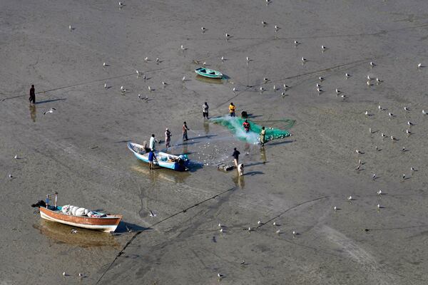 Fishers work after returning from sea in Gwadar, Pakistan, Monday, Jan. 13, 2025. (AP Photo/Anjum Naveed)