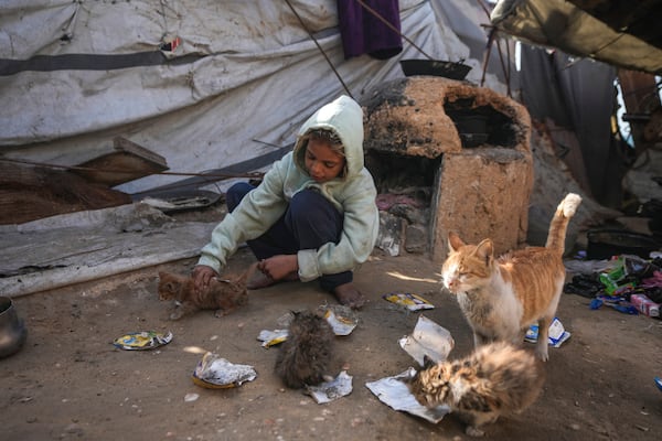 Palestinian Manal al-Hasoumi, 8, feeds cats leftover food next to her family's tent, which is locally made from pieces of cloth and nylon, at a camp for internally displaced Palestinians on the beachfront in Deir al-Balah, central Gaza Strip, Friday, Dec. 27, 2024. (AP Photo/Abdel Kareem Hana)