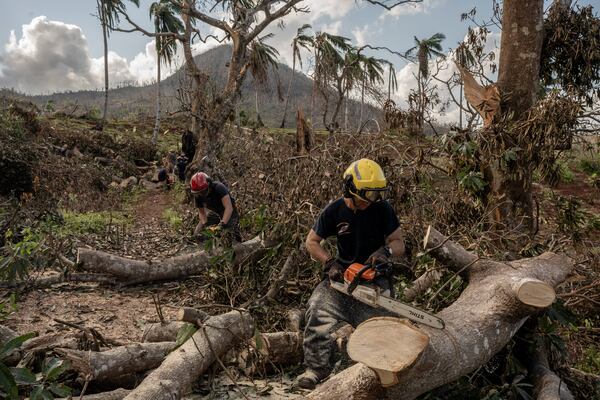 French civil security officers cut trees to open a road for heavy vehicles from Mayotte water authorities to repair water pipes in Mirereni, Mayotte, Friday, Dec. 20, 2024. (AP Photo/Adrienne Surprenant)