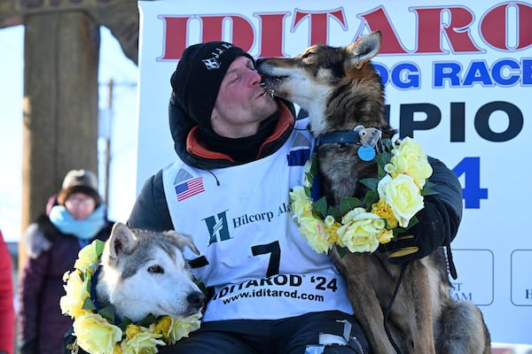 FILE - Dallas Seavey celebrates his win in the Iditarod Trail Sled Dog Race, March 12, 2024, in Nome, Alaska. (Anne Raup/Anchorage Daily News via AP, File)