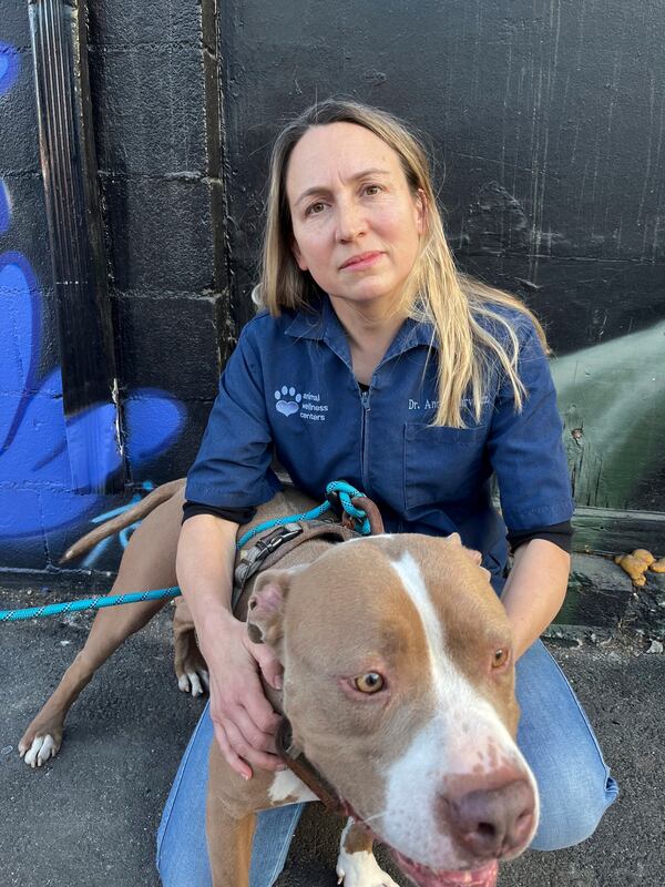 In this photo provided by Animal Wellness Foundation veterinarian Dr. Annie Harvilicz poses for a photo holding a rescued dog at Animal Wellness Center in Marina del Rey, Calif., Friday, Jan. 10, 2025. (James Grant/Animal Wellness Foundation via AP)